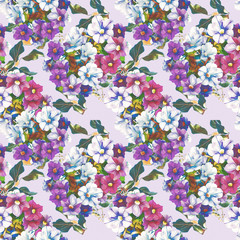 Petunia flowers, watercolor illustration, seamless pattern.