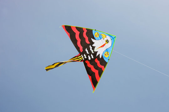 Kite with a picture of an eagle