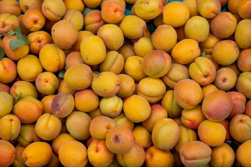close up of fresh apricots as background.