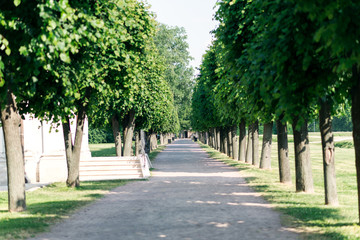 Fototapeta na wymiar paths in the royal garden