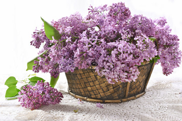 purple lilac blossoms in wicker basket on white table