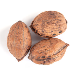 wild walnuts isolated on a white background