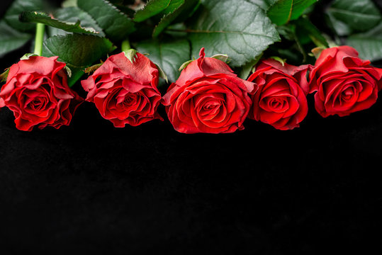 Row of five red roses on black background postcard with copy space