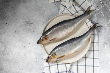 Herring on a white plate on a light gray table. Salted fish