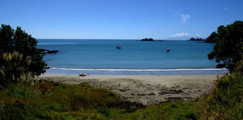 Beautiful beach at Waiheke Island, New Zealand