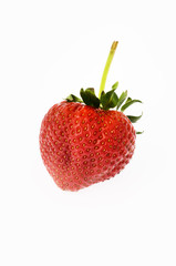 red strawberry on white background