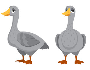 Female goose in different poses. Farm animal in cartoon style.