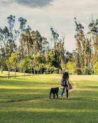 Fototapeta premium young woman walking with dog