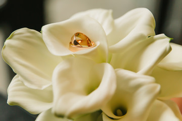wedding rings for newlyweds on a flower