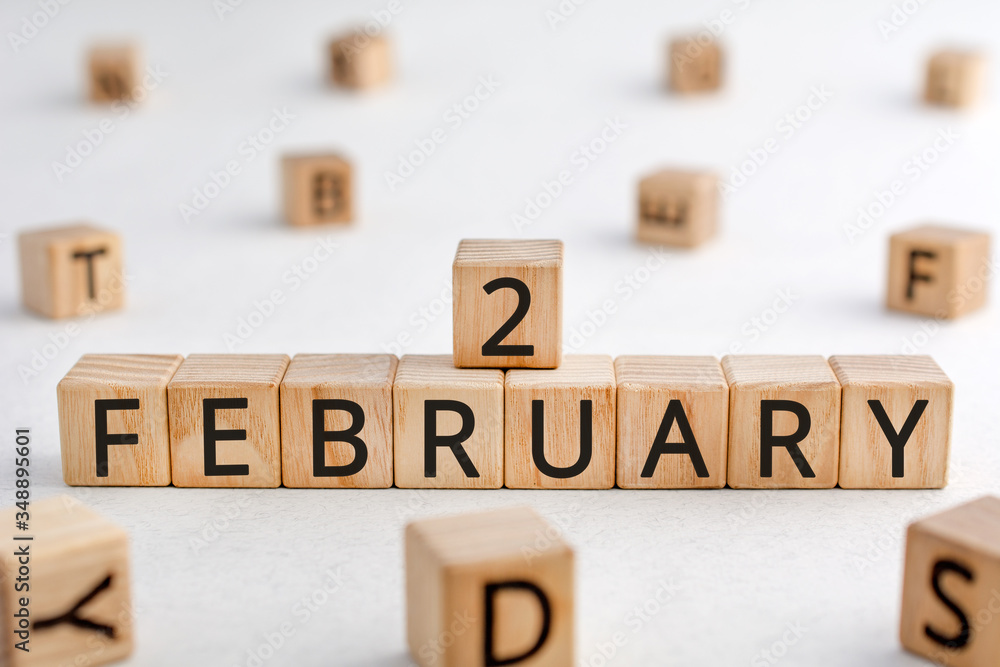 Poster february 2 - from wooden blocks with letters, important date concept, white background random letter