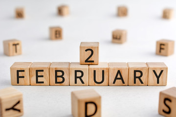 February 2 - from wooden blocks with letters, important date concept, white background random letters around