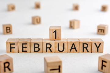 February 1 - from wooden blocks with letters, important date concept, white background random letters around