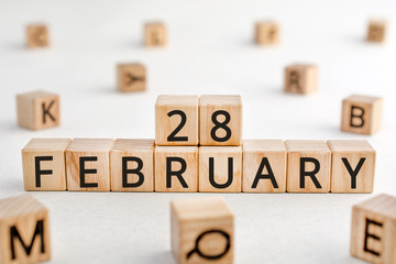 February 28 - from wooden blocks with letters, important date concept, white background random...