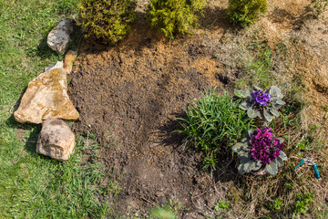 Bed flower with stones and flowers at spring. Top view of bed flower.