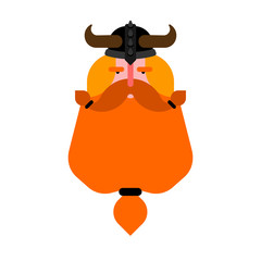 Viking face. Battle Gnome with beard. vector illustration