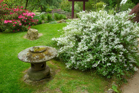 Orginal Lantern and nature in Japanese garden in Leverkusen