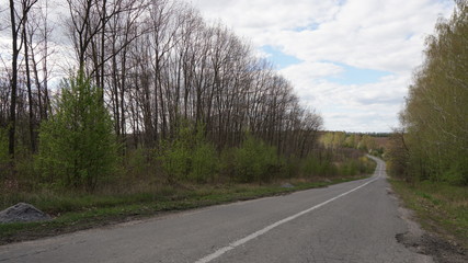 Naklejka premium The road down near the forest