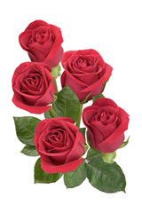 Bouquet of red roses on white background. Isolated