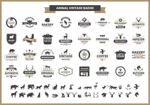 Animal Vintage Vector for banner
