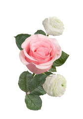 Naklejka premium bouquet of pink roses