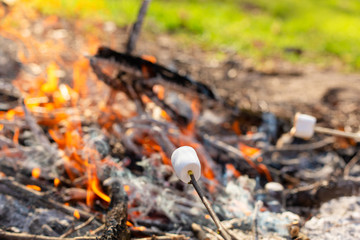 Camping bonfire, frying marshmallows at the stake