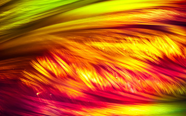 Background in warm, bright autumn colors. Sunny Texture of joyful shades of autumn. 