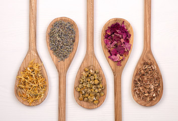 Dry healthy herbs on wooden spoons, top view on a white table