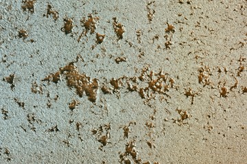 creative vintage orange travertine like stucco texture for background use.
