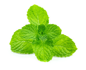 Basil leaves on a white background.