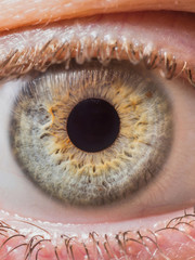 Human eye close up