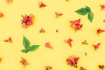 Flowers of chestnuts on a blue background