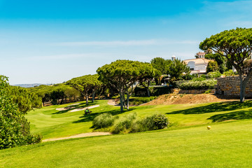Fototapeta na wymiar Beautiful golf course among pine trees in Algarve, Portugal