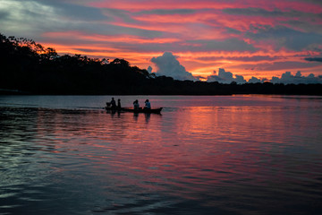 amazonas 