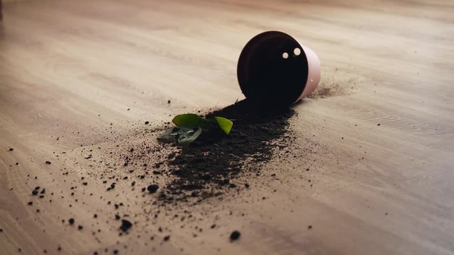 Flower pot falls to the floor in super slow motion