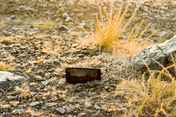 The mobile phone takes video of the sunset in the autumn steppe with yellow grass and clear sky.