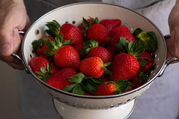 fresh strawberries in a bucket