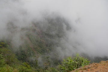 top view dense fog on the edge of a mountain canyon with trees and waterfalls