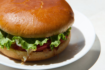 hamburger on a white  plate