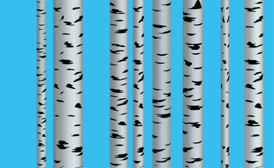 Spting illustration. Shape of birch, white and black on the background in paper style with shadows and 3d.