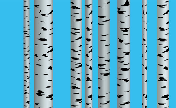 Spting illustration. Shape of birch, white and black on the background in paper style with shadows and 3d. © lantica