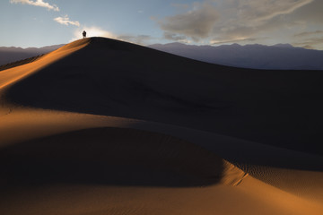 Mesquite dune.California
