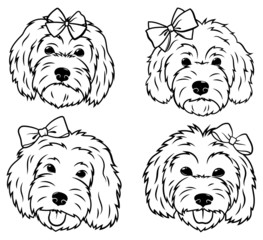 Set of portraits of dogs with a bow. Collection of vector heads of dogs of the breed Goldendoodle. Cute pets. Black and white drawing of domestic animals.
