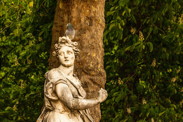 Fototapeta na wymiar statue of a woman