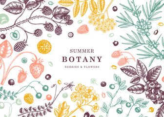 Wild berries vintage design in color. Hand drawn berry and flowers illustrations - strawberry, cranberry, currant,  bilberry, raspberry, blueberry hand drawings. Vintage botanical summer frame. © sketched-graphics