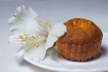 Cupcake and white flower on a white plate