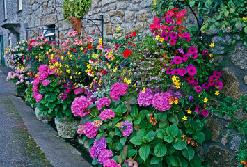 Country Cottage with Colourful Containers and wall decoration with Hanging Baskets