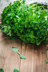 basil seedlings on a wooden table