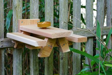 A wooden picnic table for squirrels and birds © eqroy