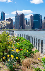 Fototapeta premium Midtown Manhattan Skyline seen from Gantry Plaza State Park with Colorful Spring Flowers in Long Island City Queens New York