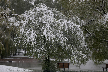 Kaunas Lithuania. Snow on May 12 morning in Kaunas.  weather lithuania, snow kaunas may spring...